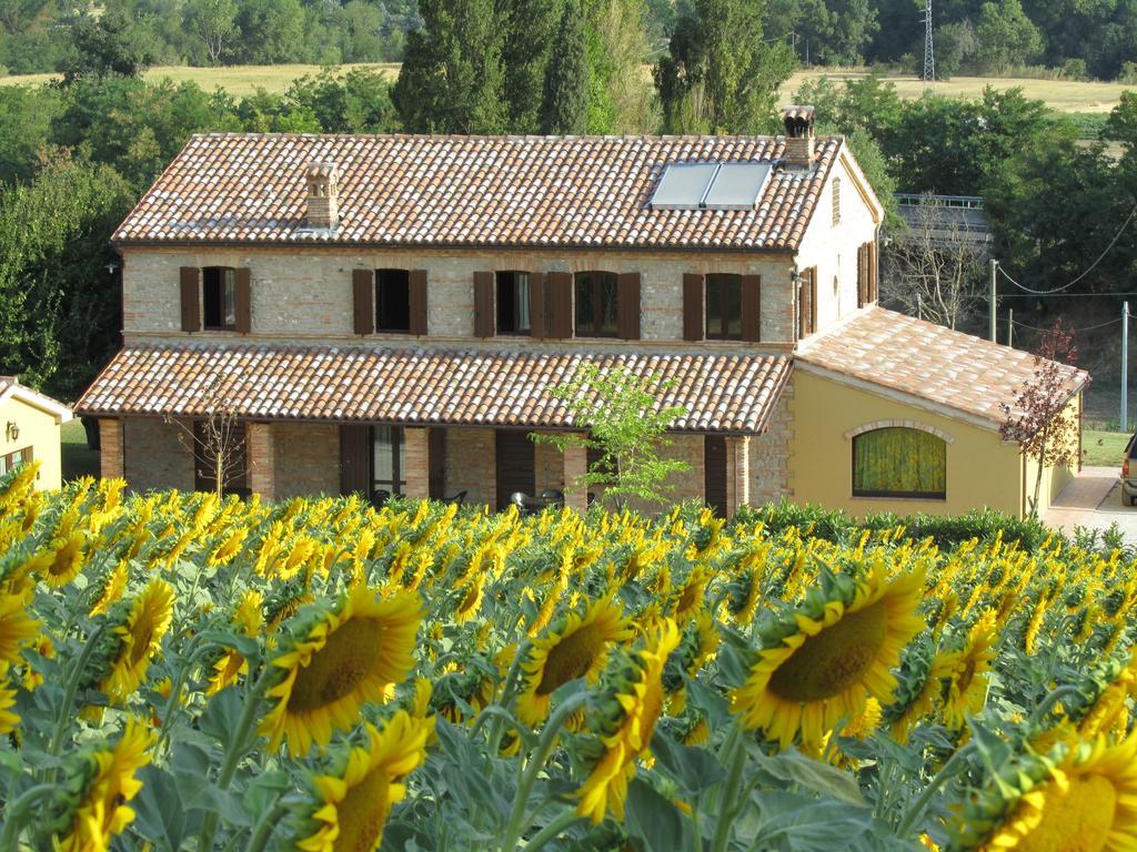 Maison d'hôtes Agriturismo La Vecchia Fonte à Castelbellino Extérieur photo